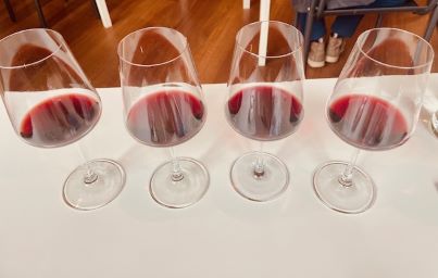 degustazione chianti rufina