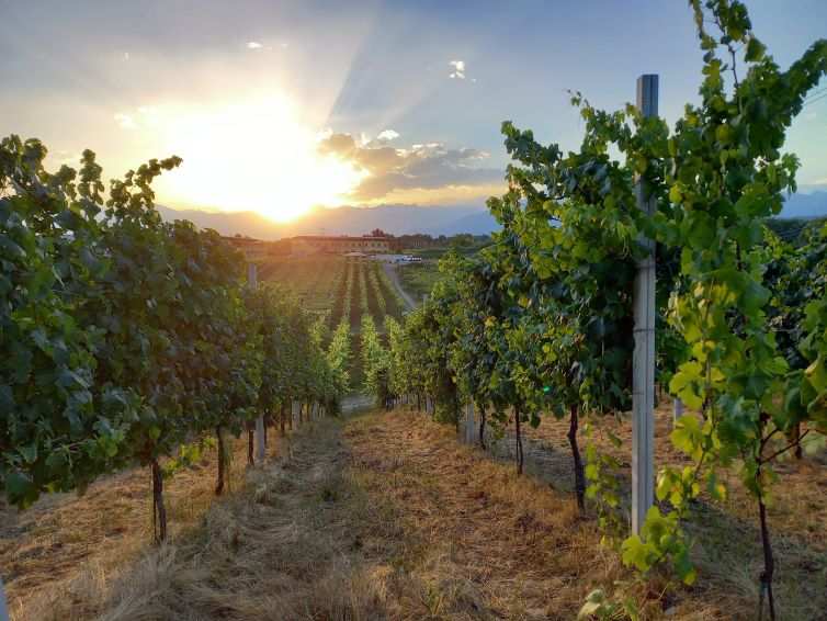 erbaluce di Caluso DOCG