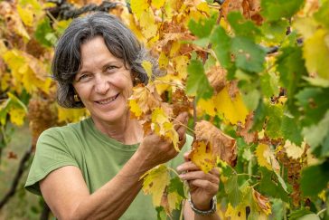 Traccia di Rosa Chiaretto di Bardolino 2021, un vino che conquista con il suo colore rosa 11 matilde poggi