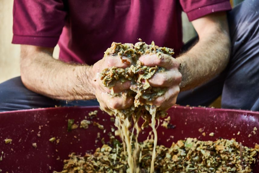 Come l'azienda vitivinicola Amalberga rilancia la Doc Ostuni. Veramente 3 vini inaspettati! 1 cantina amalberga