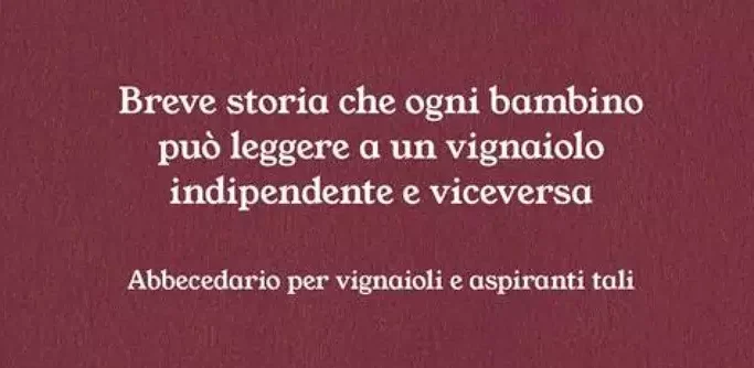 dall'uva al vino
