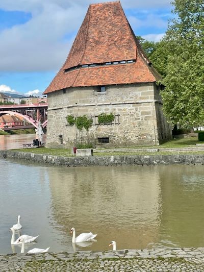 Itinerario nella Stiria slovena: 5 motivi per organizzare una vacanza in nome di cibo e cultura 1 maribor lent