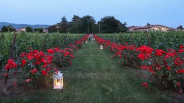 Mosnel di Franciacorta
