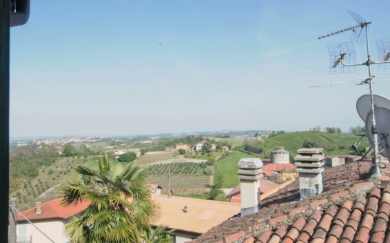 vignale monferrato