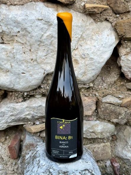 Perché l'e-commerce di Fora Bina Wine Club avvicina gli wine lover al vino in modo nuovo 2 Bina B1 Bianco IGT Verona