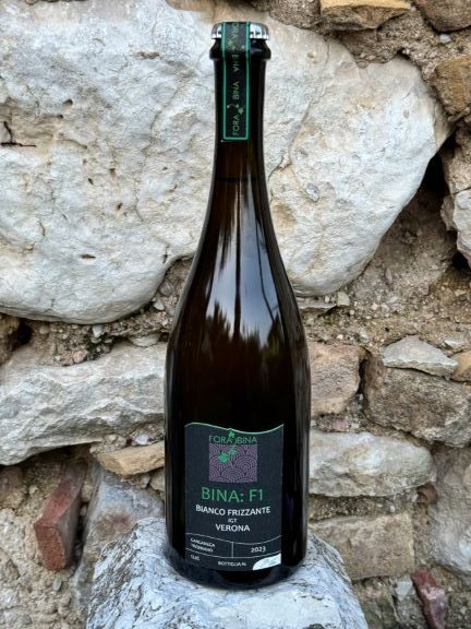 Perché l'e-commerce di Fora Bina Wine Club avvicina gli wine lover al vino in modo nuovo 4 Bina F 1Bianco Frizzante IGT VERONA