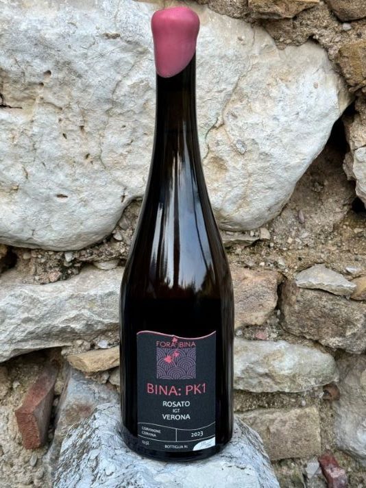 Perché l'e-commerce di Fora Bina Wine Club avvicina gli wine lover al vino in modo nuovo 3 Bina PK1, un vino rosato