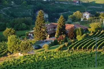 Il progetto Cadgal: ridefinire l'identità del Moscato d'Asti e competere con i grandi bianchi dolci 11 progetto Cadgal