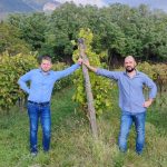 Perché l'e-commerce di Fora Bina Wine Club avvicina gli wine lover al vino in modo nuovo 11 e-commerce di Fora Bina Wine Club