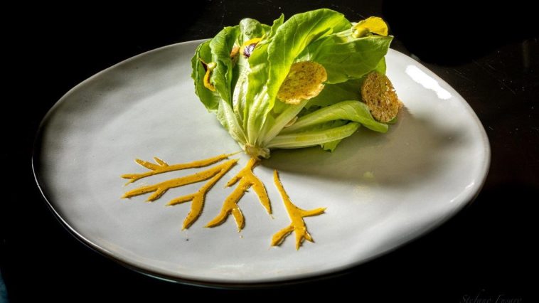 Ricetta gustosa e sostenibile