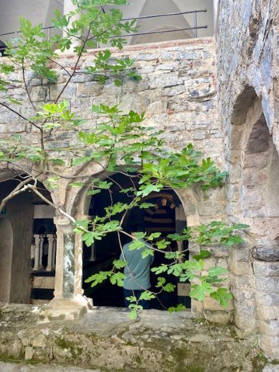 L'abbazia di San Fruttuoso di Camogli: come arrivare e che cosa visitare 4 Abbazia San Fruttuoso di Camogli