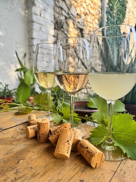 Perché l'e-commerce di Fora Bina Wine Club avvicina gli wine lover al vino in modo nuovo 1 vini Fora Bina Wine Club