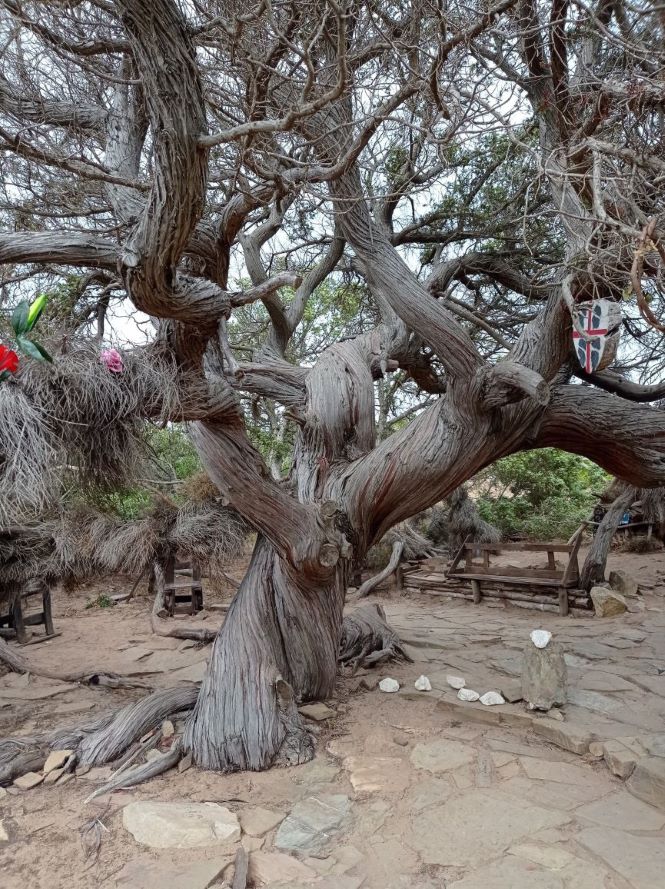 Il Sud della Sardegna, selvaggio e ricco di cibo e cultura: 7 località tra mare ed entroterra 5 costa verde