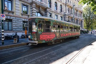 bere il rum filippino Don Papa
