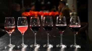 Giro del mondo con il Lambrusco