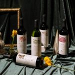 degustazione dei vini Ronchi di Castelluccio