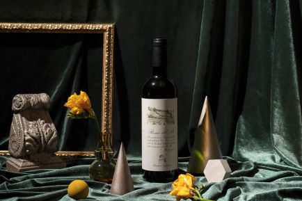La degustazione dei vini Ronchi di Castelluccio e Poggio della Dogana: la riscoperta di un vero tesoro 3 ronco del re