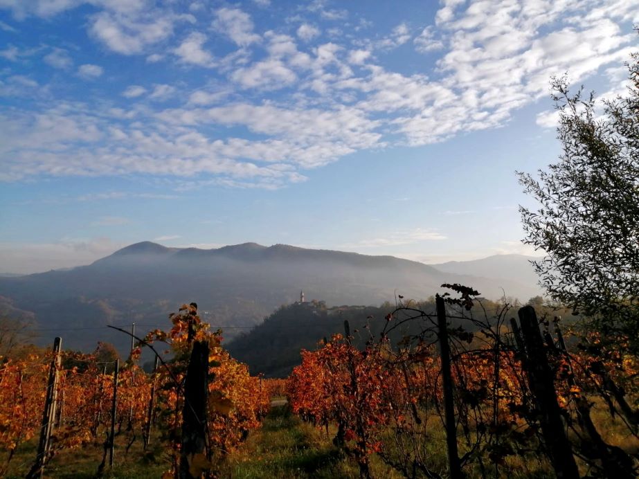 In Alta Val Tidone un week end autunnale alla scoperta del tartufo nero (+ 5 idee) 1 autunno alta val tidone