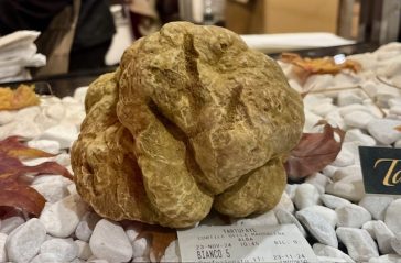 tartufo e la Fiera del Tartufo