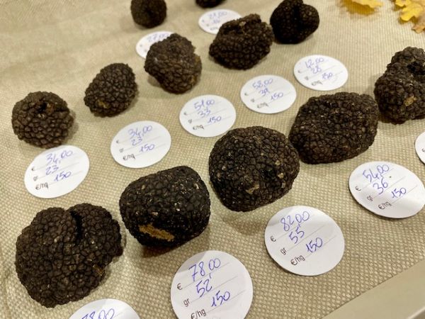 tartufo nero ad Alba