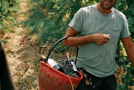 La degustazione dei vini Ronchi di Castelluccio e Poggio della Dogana: la riscoperta di un vero tesoro 2 vini Ronchi di Castelluccio
