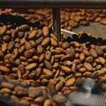 La mia esperienza presso la Fabbrica del Cioccolato di Enrico Rizzi: un'immersione nel piacere 11 fabbrica del cioccolato di Enrico Rizzi