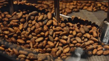 fabbrica del cioccolato di Enrico Rizzi