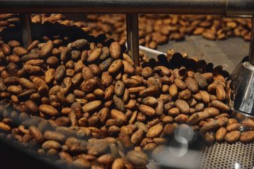 La mia esperienza presso la Fabbrica del Cioccolato di Enrico Rizzi: un'immersione nel piacere 6 fabbrica del cioccolato di Enrico Rizzi