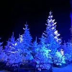 10 cose da fare a dicembre in attesa del Natale tra cibo e cultura 14 cose da fare a dicembre