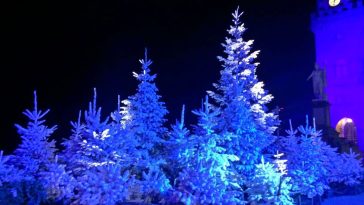 cose da fare a dicembre