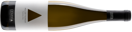 Mueller Thurgau vino di montagna Cembra