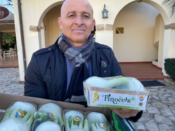 Come il finocchio di Isola Capo Rizzuto IGP è diventato un'eccellenza della Calabria 5 Aldo Luciano