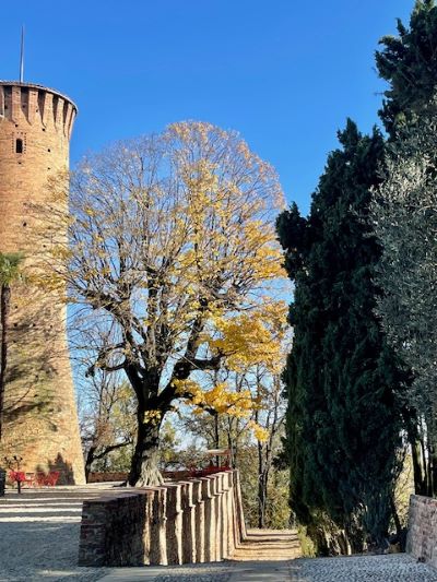 che cosa fare a febbraio