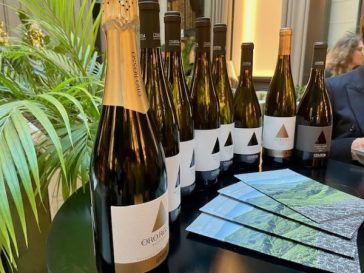 Dallo spumante al Pinot nero: 4 vini di montagna che raccontano un territorio 2 vini di montagna