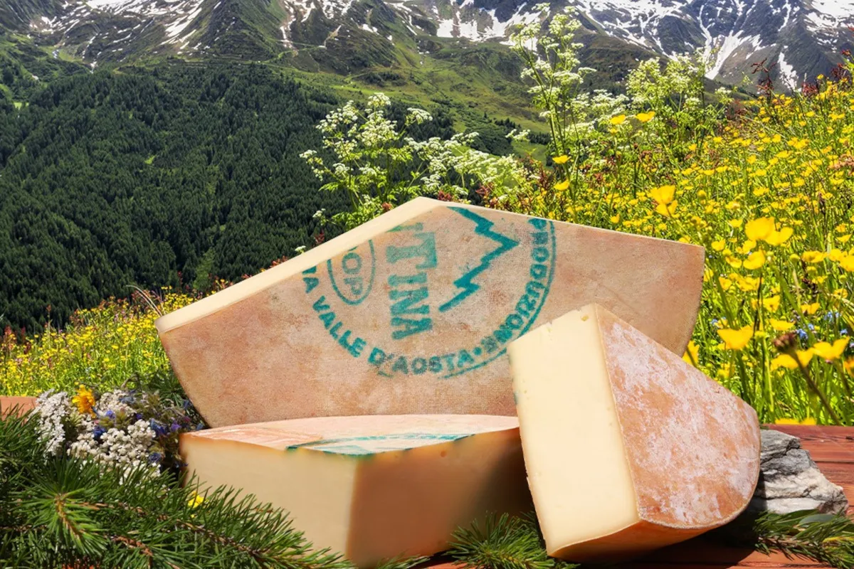 FontinaMi 2025 rende omaggio alla fontina Dop con un viaggio enogastronomico in 12 ristoranti 2 FontinaMi 2025