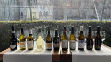 10 sfumature di Pecorino