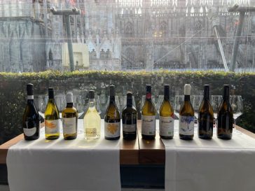 10 sfumature di Pecorino: Cantina Tollo ambasciatrice dei vini d'Abruzzo nel mondo 8 10 sfumature di Pecorino