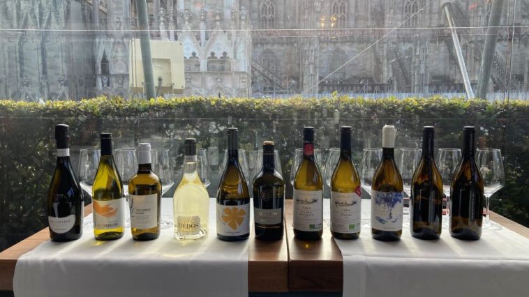 10 sfumature di Pecorino: Cantina Tollo ambasciatrice dei vini d'Abruzzo nel mondo 1 10 sfumature di Pecorino