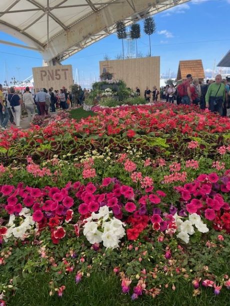 Euroflora 2025 a Genova: 11 giorni di fiori, eventi, cultura e spettacolo 1 Euroflora 2025 a Genova
