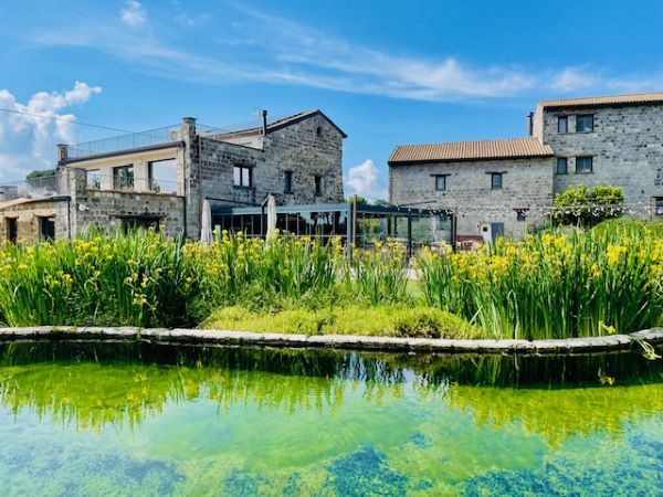 Viaggio enogastronomico nell'Alto Casertano: vino, mozzarella di bufala e tante "chicche" da scoprire 8 Tenuta Cacciagalli: enoturismo, vini naturali e cucina gourmet ai piedi del vulcano di Roccamonfina