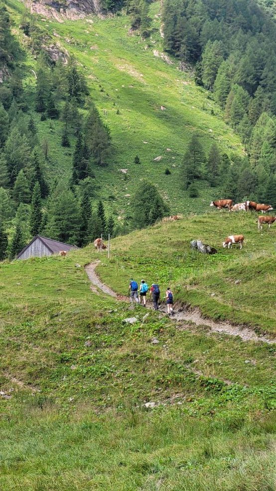 Che cosa fare a giugno in Italia: itinerari enogastronomici e ristoranti da provare 10 Le 5 tappe di giugno di “In rifugio c’è più gusto”