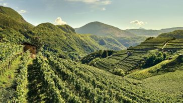 Val di Cembra