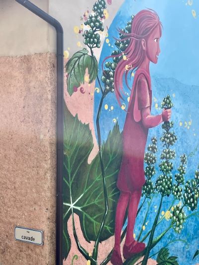 I murales di Faver: non solo arte ma anche memoria collettiva 