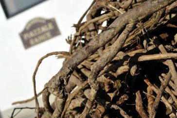 Liquirizia di Calabria, museo della liquirizia Amarelli e storia di una pianta conosciuta da 35 secoli 2 Liquirizia di Calabria
