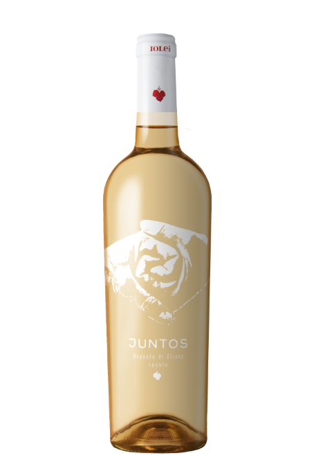 vino juntos