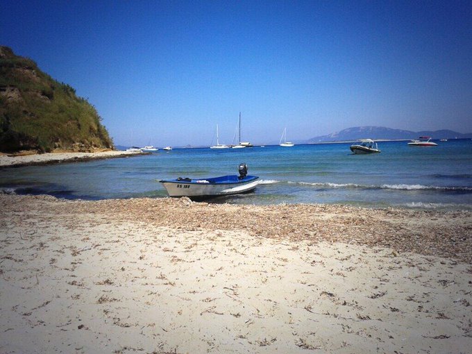 Susak 