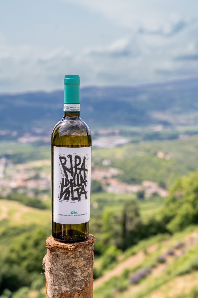 Soave Doc 2024