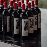 Ripa della Volta, vini della Valpolicella