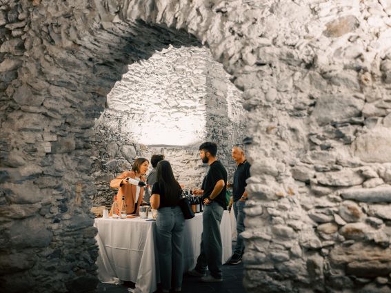 ViVa Vini Valtellina 2026 a Sondrio: il Nebbiolo delle Alpi diventa un viaggio 3 ViVa Vini Valtellina 2026: il Nebbiolo delle Alpi protagonista a Sondrio