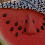 Anguria e kefiah: simboli della resistenza palestinese che il mondo non può ignorare 14 Anguria e kefiah